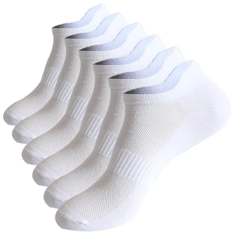 Skarpetki 6-pak Dionizos-helthfit.pl